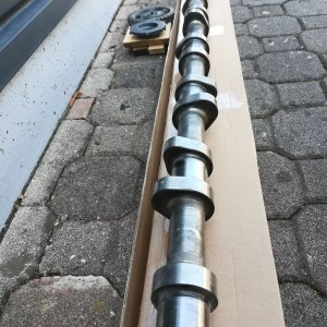 MAN EURO 6 - E6 camshaft MAN TGS TGX truck